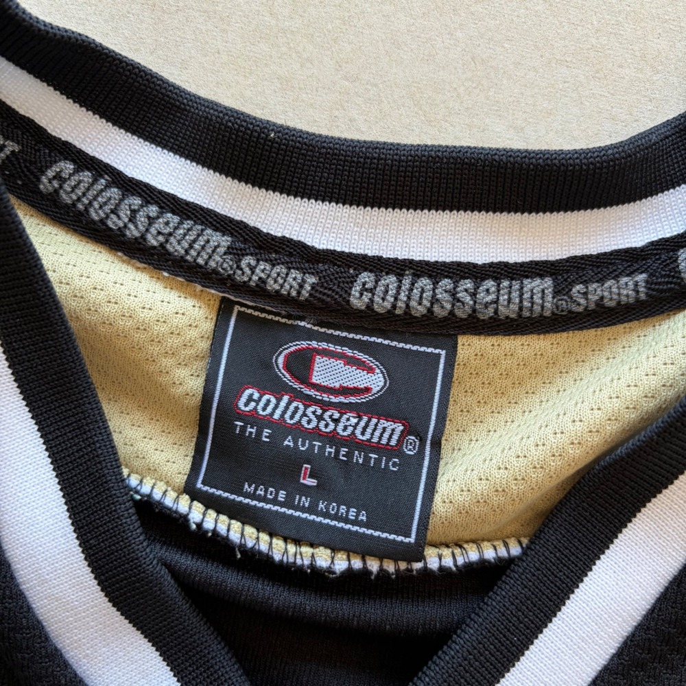 Y2K Colosseum Colorado Buffaloes Hockey Jersey - Picture 4 of 5